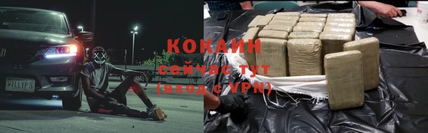 хмурый Ладушкин