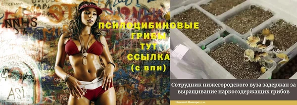 сатива Краснослободск