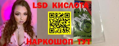 стафф Будённовск