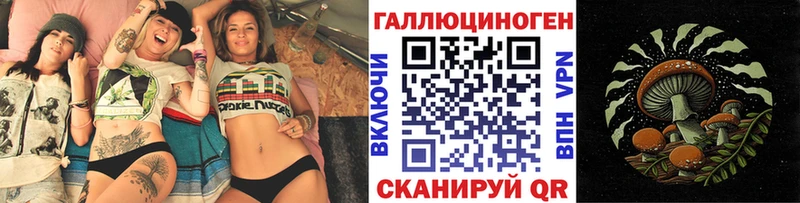 мега маркетплейс  Котовск  Псилоцибиновые грибы GOLDEN TEACHER 